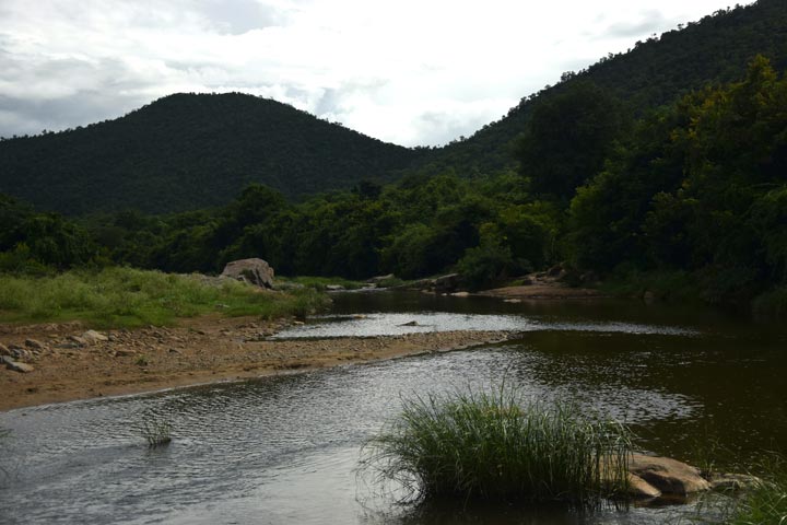 A section of the Cauvery MM Hills landscape